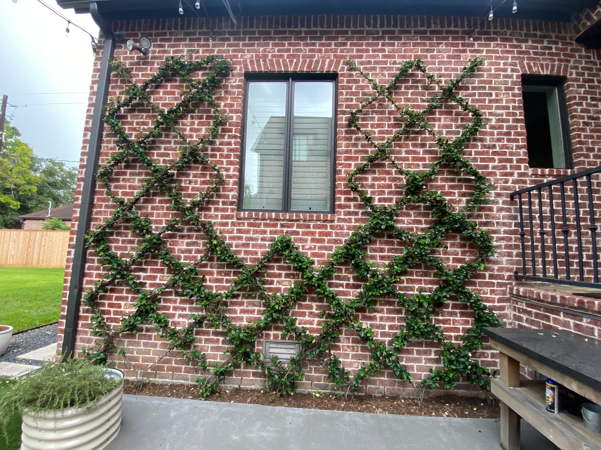 Brick wall with trellis of trained jasmine plants, elegant diamond pattern, patio area with potted plant, small garden bed, staircase with black metal railing, lush green lawn